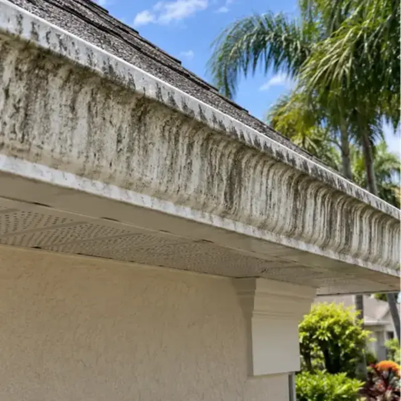 Before cleaning: before and after photos of gutter faces